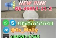 High Quality NEW GS BMK Glycidic Acid (sodium salt) CAS 49851-31-2