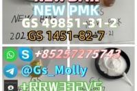 2025 New GS BMK/PMK Oil Hot Selling CAS 1451-81-2