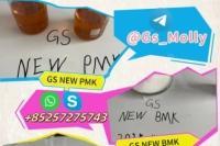GS New PMK Methyl Glycidate BMK Powder CAS 49851-31-2 In Stock
