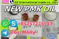 GS New BMK Glycidic Acid PMK Oil CAS49851-31-2