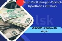 Skup Zadłużonych Spółek Upadłość i 299 ksh