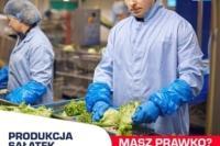 Holandia. Praca na produkcji sałatek. Nawet 12,98 euro/h