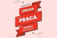 Praca zdalna / Dodatkowa lub Stała  / Dla każdego