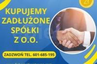 Skup zadłużonych spółek z o.o. ochrona zarządu przed art. 299 ksh