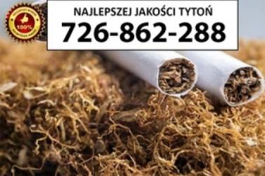 Znakomitej jakości TYTOŃ 80 PLN/1KG
