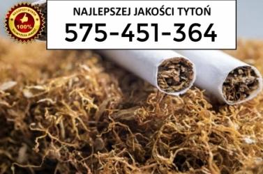 Bardzo dobrej jakości TYTOŃ 65 PLN/KG