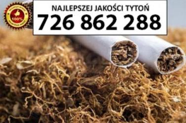 Znakomitej jakości TYTOŃ 80 PLN/1KG