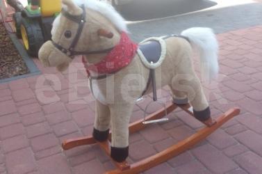 Konik na biegunach