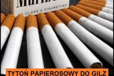 Tani tytoń papierosowy 70zł/kg Lm Light, Marlboro