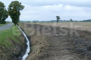 Biała