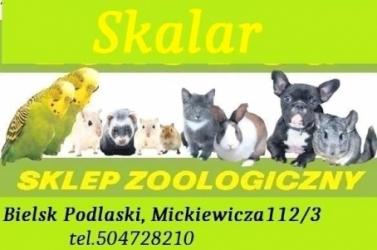 Skalar Sklep Zoologiczny