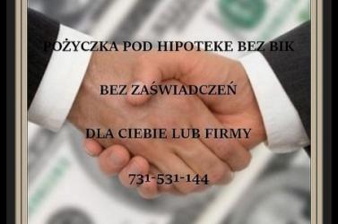 POZABANKOWA POŻYCZKA POD ZABEZPIECZENIE NIERUCHOMOSCIA DO 10 m