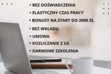 Praca stała lub dodatkowa zdalna, w domu, przez internet