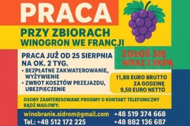 WINOBRANIE FRANCJA