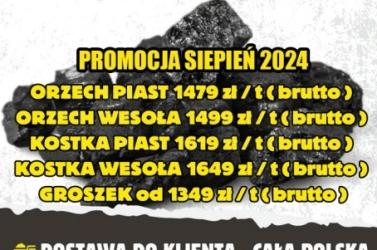 Polski węgiel hurtowo - Specjalna oferta Sierpień 2024