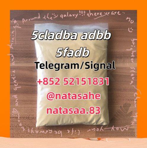 5cladba,5f, 6cladba,6f, high quality, low price, s - Ogłoszenie Bielsk Podlaski | eBielsk.pl
