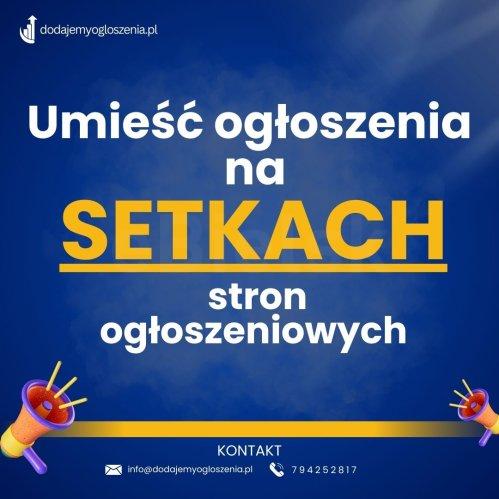 Opublikuj ogłoszenia na setkach portali - Efektywna reklama Twojej firmy