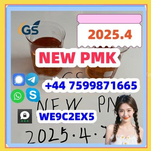 CAS 28578-16-7 NEW PMK OIL PMK POWDER