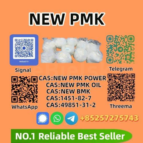 P.M.K G.lycidate P.owder 28578-16-7 | High Purity | Bulk Supplier