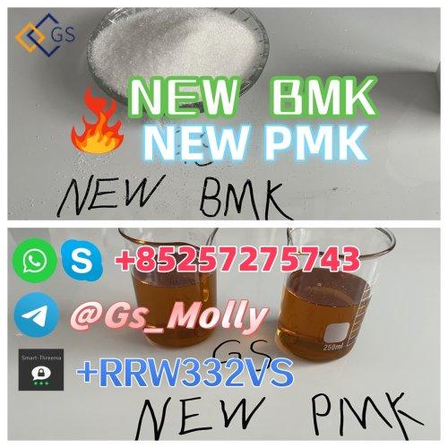 High Purity GS New PMK Oil Factory Supply