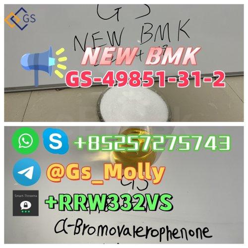 High Quality NEW GS BMK Glycidic Acid (sodium salt) CAS 49851-31-2