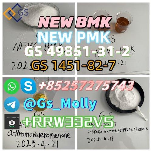 2025 New GS BMK/PMK Oil Hot Selling CAS 1451-81-2