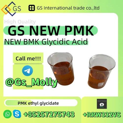 High Purity GS New PMK Oil Factory Supply