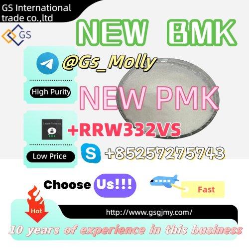 Premium GS New BMK Chemical Supplier