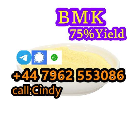 High quality 99% CAS 5449-12-7 BMK Glycidic Acid Sodium Salt Powder