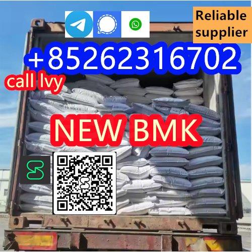 High quality 99% CAS 5449-12-7 BMK Glycidic Acid Sodium Salt Powder