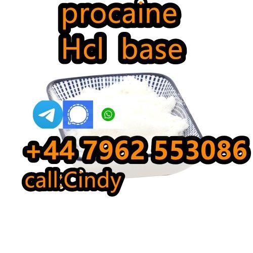 selling Procaine base CAS 59-46-1 /51-05-8 / procaine hcl and base sale Holland