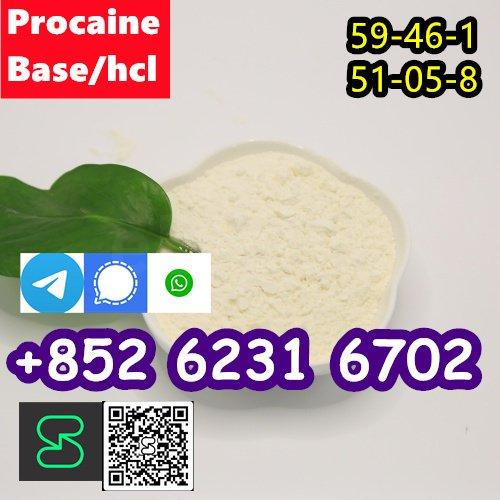 selling Procaine base CAS 59-46-1 /51-05-8 / procaine hcl and base sale Holland