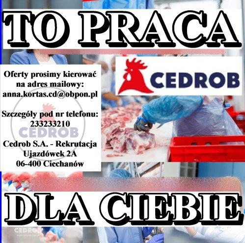 Specjalista ds. wylęgu - zootechnik (K/M) Bielsk  - Ogłoszenie Bielsk Podlaski | eBielsk.pl