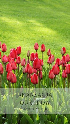 Aranżacja ogrodów!