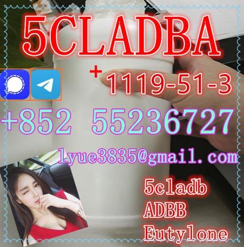 Low Price 5-Bromo-1-Pentene CAS 1119-51-3