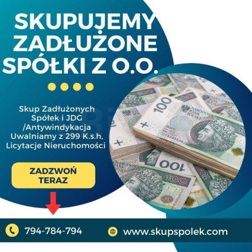 Skup Zadłużonych Spółek i JDG /Antywindykacja Uwalniamy z 299 K.s.h, Licytacje Nieruchomości