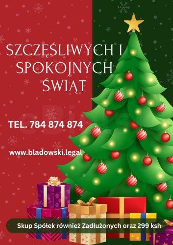 Skup Spółek Również Zadłużonych oraz 299 ksh