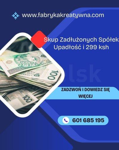 Skup Spółek w Upadłości i Zadłużonych Ochrona 299 Ksh
