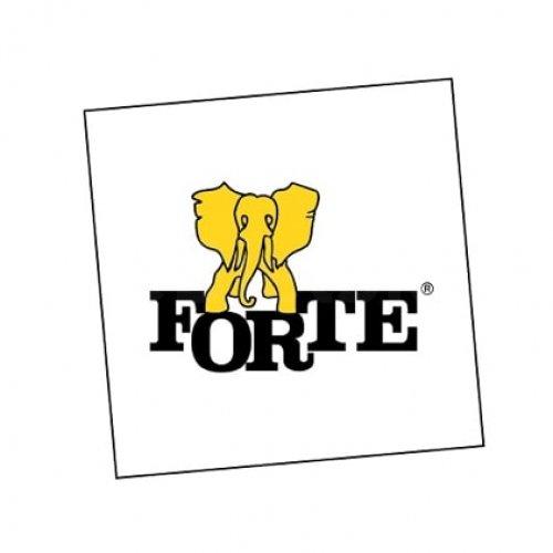 Pomocnik produkcji Fabryki Mebli Forte S.A.