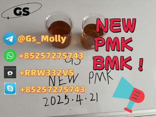 2025 New GS BMK/PMK Oil Hot Selling CAS 1451-81-2
