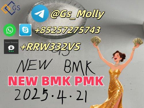 2025 New GS BMK/PMK Oil Hot Selling CAS 1451-81-2