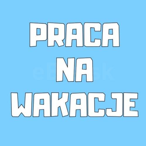 Praca Dodatkowa na Wakacje