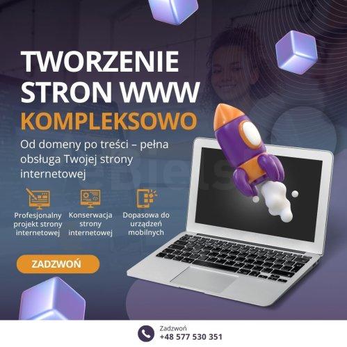 Profesjonalne dodawanie ogłoszeń /Usługa dodawania ogłoszeń do internetu /Usługi dodawania ogłoszeń Kraków /Skuteczne dodawanie ogłoszeń