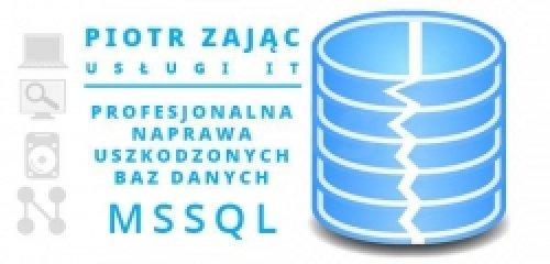 Skuteczna naprawa baz danych SQL trudne przypadki / Naprawa bazy danych MSSQL, baz Płatnika, Wapro, Insert, inne