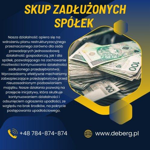 Skup Spółek Zadłużonych / Działalność Gospodarcza ? 